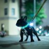 USB Rechargeable LED Dog Collar Multi-Color Lighting Dog Safety Collar Cuttable Length Glow Dog Collar For Small Medium Large Dog Night Walking